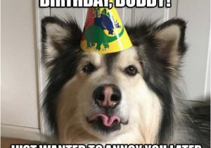 Funny Belated Birthday Meme 20 Funny Belated Birthday Memes for People who Always