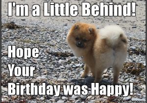 Funny Belated Birthday Meme Belated Birthday Glitter Graphics Comments Gifs Memes