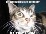 Funny Belated Birthday Meme Pin by Donda Willenburg On Mew Mew Cats