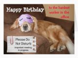 Funny Birthday Card Messages for Coworker Quotes Funny Birthday Ecard From Office Quotesgram