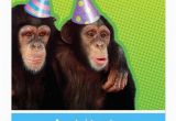 Funny Birthday Cards for A Brother 200 Best Birthday Wishes for Brother 2019 My Happy