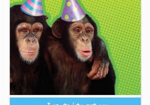 Funny Birthday Cards for A Brother 200 Best Birthday Wishes for Brother 2019 My Happy