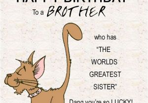 Funny Birthday Cards for A Brother 200 Best Birthday Wishes for Brother 2019 My Happy