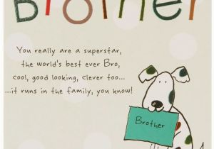 Funny Birthday Cards for A Brother Brother Birthday Cards Google Search Cards Happy
