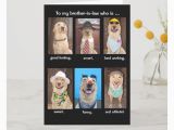 Funny Birthday Cards for Brother In Law Funny Brother In Law Birthday Cards
