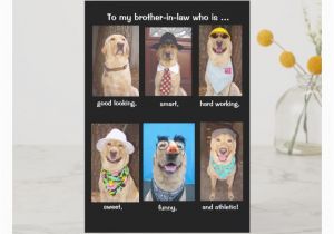 Funny Birthday Cards for Brother In Law Funny Brother In Law Birthday Cards