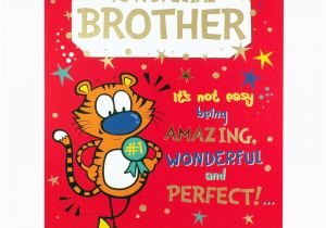 Funny Birthday Cards for Brothers Brother Birthday Card Funny Rude Humorous Greetings Card