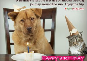Funny Birthday Cards for Facebook Wall Funny Birthday Scraps and Funny Birthday Facebook Wall