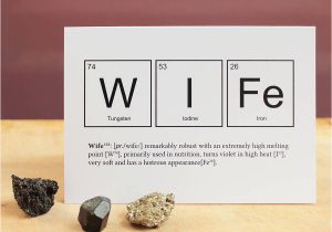 Funny Birthday Cards for Husband From Wife Wife or Husband Funny Valentines Card by Newton and the