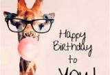 Funny Birthday Cards for Male Friends 70 Funny Birthday Wishes for Best Friend Male Make A