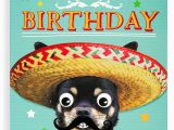 Funny Birthday Cards for Nephew Nephew Birthday Card Funny Humour Animal Dog Greetings