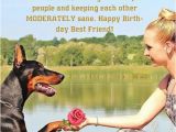 Funny Birthday Cards for Your Best Friend Happy Birthday Funny Images Pictures Happy Birthday