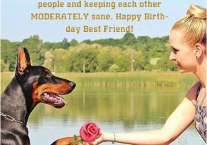 Funny Birthday Cards for Your Best Friend Happy Birthday Funny Images Pictures Happy Birthday