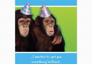 Funny Birthday Cards for Your Brother Funny Birthday Quotes From Maxine Quotesgram