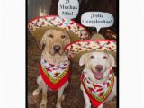 Funny Birthday Cards In Spanish Funny Lab Birthday Card In Spanish Zazzle