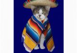 Funny Birthday Cards In Spanish Funny Spanish Cat Kitty Birthday Greeting Card Zazzle
