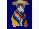 Funny Birthday Cards In Spanish Funny Spanish Cat Kitty Birthday Greeting Card Zazzle