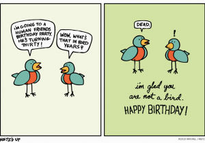 Funny Birthday Cards Tumblr the Gallery for Gt Funny Birthday Pictures Tumblr