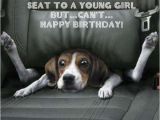 Funny Birthday Cards with Animals 42 Best Funny Birthday Pictures Images My Happy