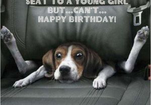 Funny Birthday Cards with Animals 42 Best Funny Birthday Pictures Images My Happy