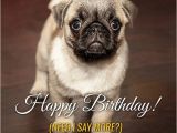 Funny Birthday Cards with Animals Cute Animals and Funny Happy Birthday Wishes