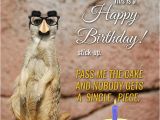Funny Birthday Cards with Animals Cute Animals and Funny Happy Birthday Wishes