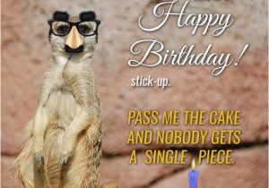 Funny Birthday Cards with Animals Cute Animals and Funny Happy Birthday Wishes