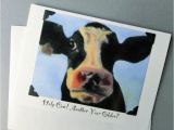 Funny Birthday Cards with Animals Handmade Funny Birthday Card Cow Birthday Card Funny