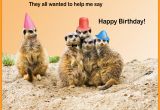 Funny Birthday Cards with Animals Happy Birthday Cards with Animals Birthday Party Ideas