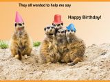 Funny Birthday Cards with Animals Happy Birthday Cards with Animals Birthday Party Ideas