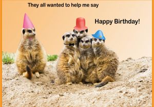Funny Birthday Cards with Animals Happy Birthday Cards with Animals Birthday Party Ideas