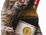 Funny Birthday Cards with Cats Cat Wine Bottle Avanti Oversized Funny Birthday Card by