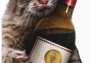 Funny Birthday Cards with Cats Cat Wine Bottle Avanti Oversized Funny Birthday Card by