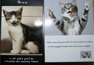 Funny Birthday Cards with Cats Cute Cat Birthday Quotes Quotesgram