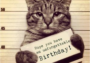 Funny Birthday Cards with Cats Funny Birthday Meme
