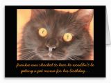 Funny Birthday Cards with Cats Funny Shocked Cat Birthday Card Wishes Zazzle Images Of
