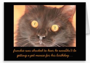 Funny Birthday Cards with Cats Funny Shocked Cat Birthday Card Wishes Zazzle Images Of