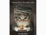 Funny Birthday Cards with Cats Happy 3rd Birthday Maddie Pet forums Community