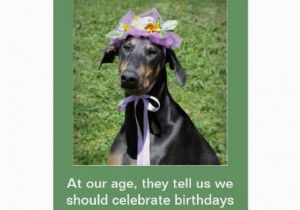 Funny Birthday Cards with Dogs Funny Dog Birthday Card Zazzle