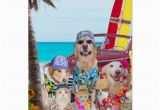 Funny Birthday Cards with Dogs Funny Dogs Cats Hawaiian Surfer Birthday Card Zazzle Com
