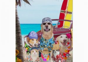 Funny Birthday Cards with Dogs Funny Dogs Cats Hawaiian Surfer Birthday Card Zazzle Com