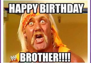 Funny Birthday Meme for Brother Funny Birthday Memes for Dad Mom Brother or Sister