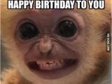 Funny Birthday Meme for Friend Happy Friend Birthday Meme and Pictures with Wishes