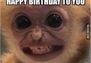 Funny Birthday Meme for Friend Happy Friend Birthday Meme and Pictures with Wishes