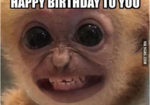 Funny Birthday Meme for Guys Best 25 Birthday Memes for Guys Ideas On Pinterest