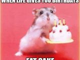 Funny Birthday Meme for Kids top 100 original and Funny Happy Birthday Memes Crafts