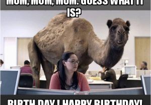 Funny Birthday Meme for Mom Funny Birthday Memes for Mom Image Memes at Relatably Com