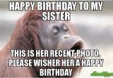 Funny Birthday Meme for Sister 20 Hilarious Birthday Memes for Your Sister Sayingimages Com