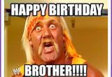 Funny Birthday Memes for Brother Funny Birthday Memes for Dad Mom Brother or Sister