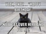Funny Black Happy Birthday Meme 13 Best Best Funny Memes 2018 Images On Pinterest Funny